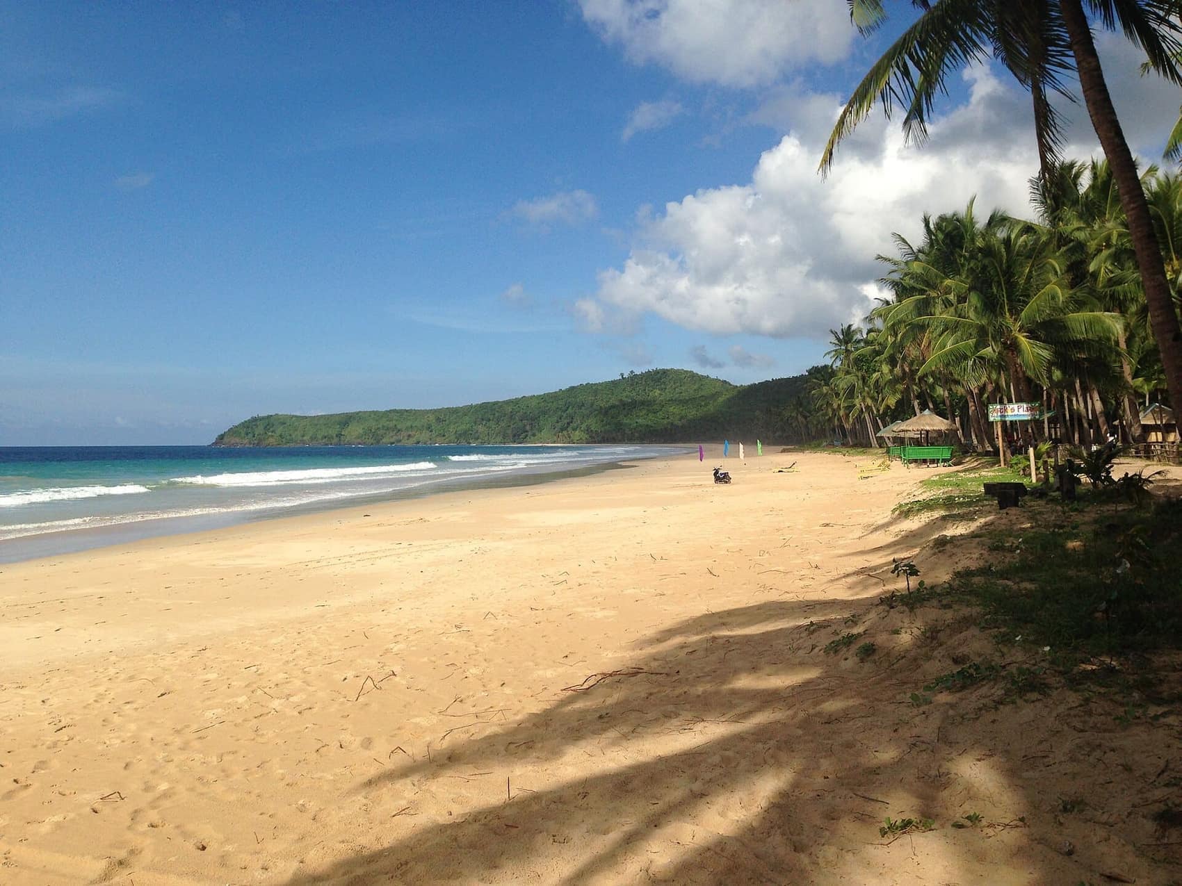 Coconut palms running the length of Nacpan Beach