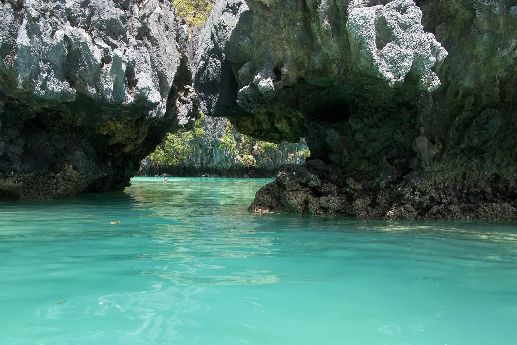 Undercut limestone arching over turquoise water: the cliffs are eroded at the waterline all around the bay