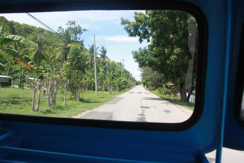 The view from the back of the ride: a palm-lined island road, framed by the window