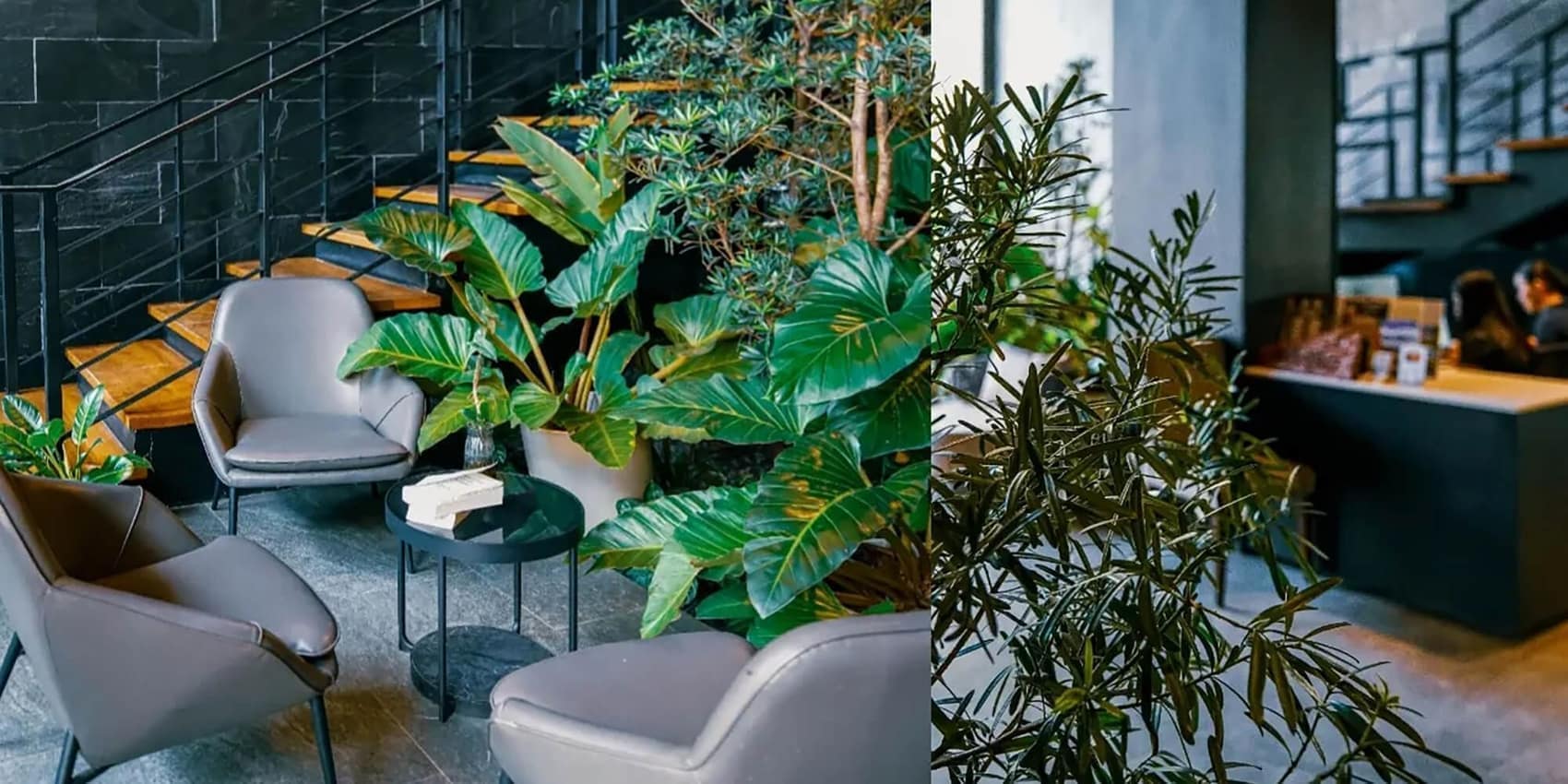 Ground-floor lounge: pale armchairs, planters, daylight from the street
