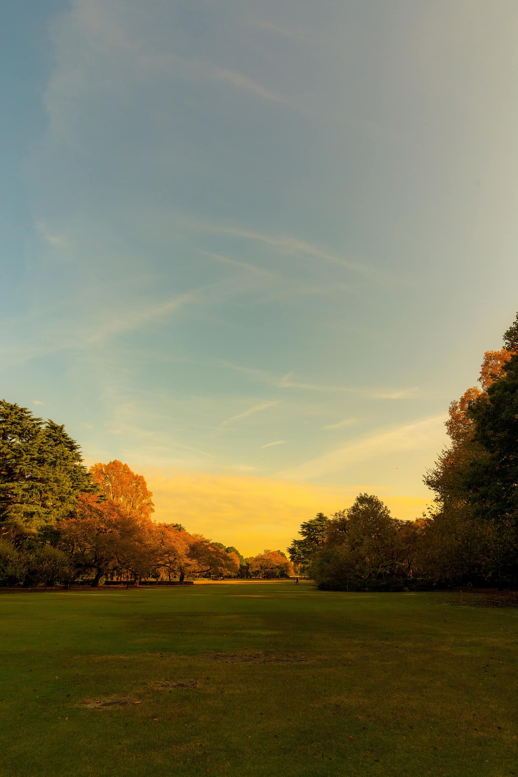Clear autumn skies over Tokyo's parks