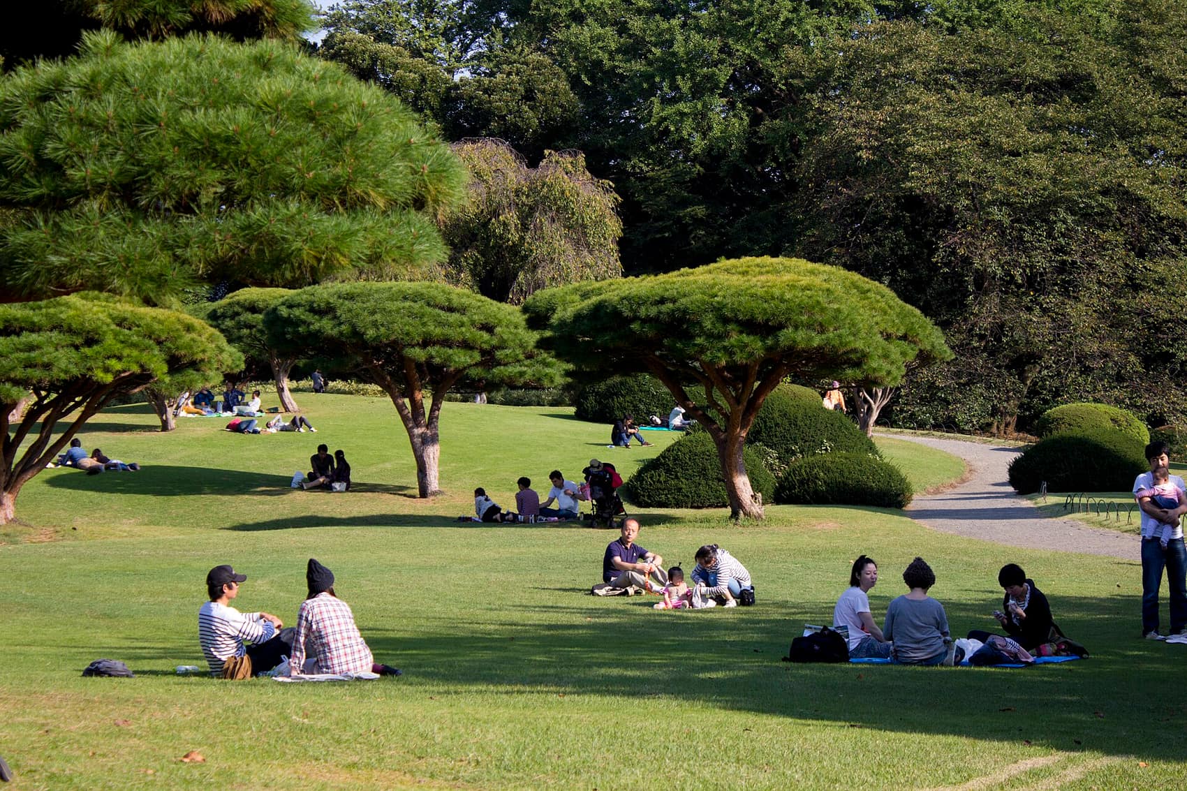 A bright, dry autumn day at Shinjuku Gyoen