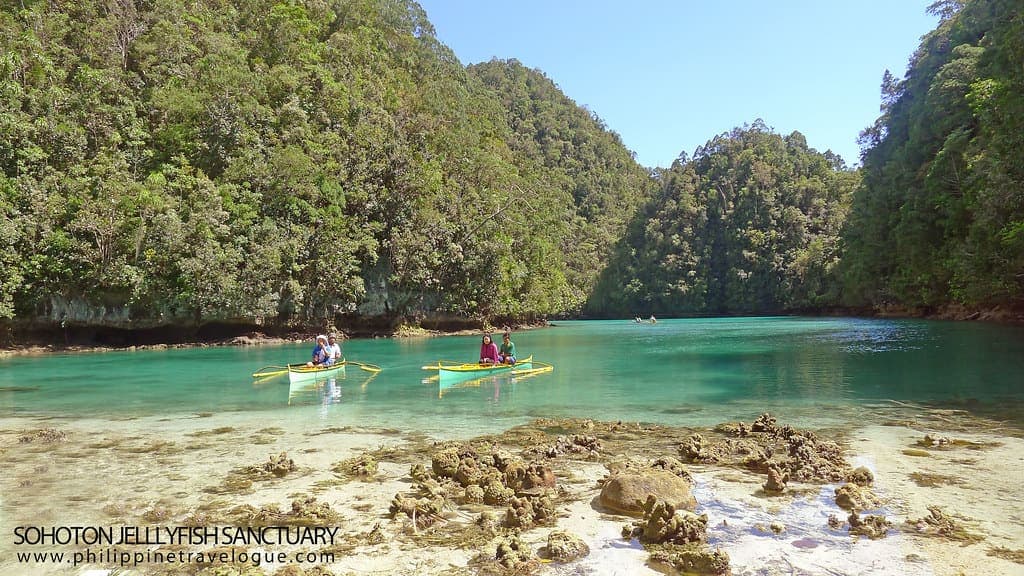 Jellyfish Sanctuary (Tojoman Lagoon)