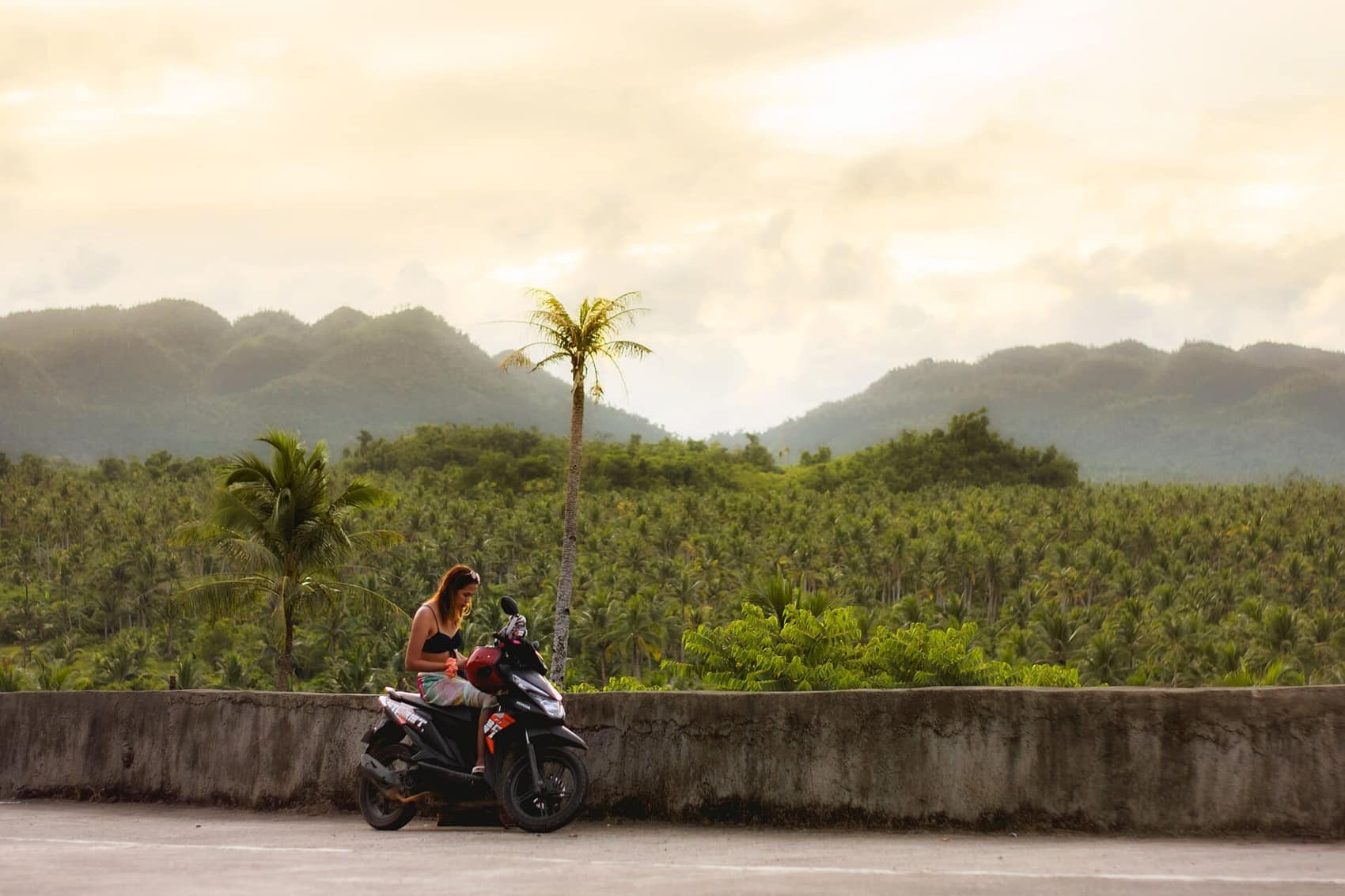 The Coconut Trees View Deck: a million palms rolling to the mountains, and the reason the land tour exists