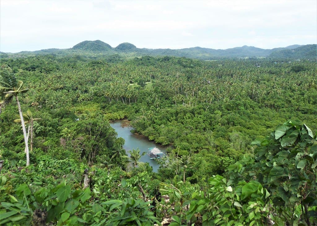 Maasin River winding through the palms, a short ride from Coconut Road