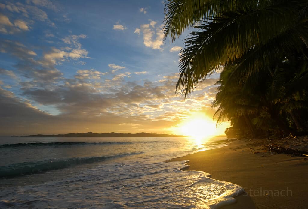 Siargao sunset through the fronds: the island's daily headline act