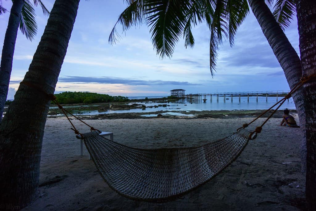 A hammock slung between palms facing the boardwalk at blue hour