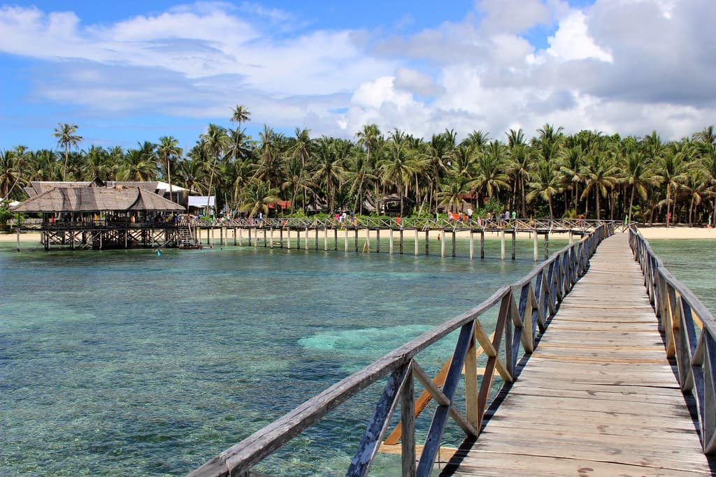 Timber walkway out over clear water toward the palm-lined shore
