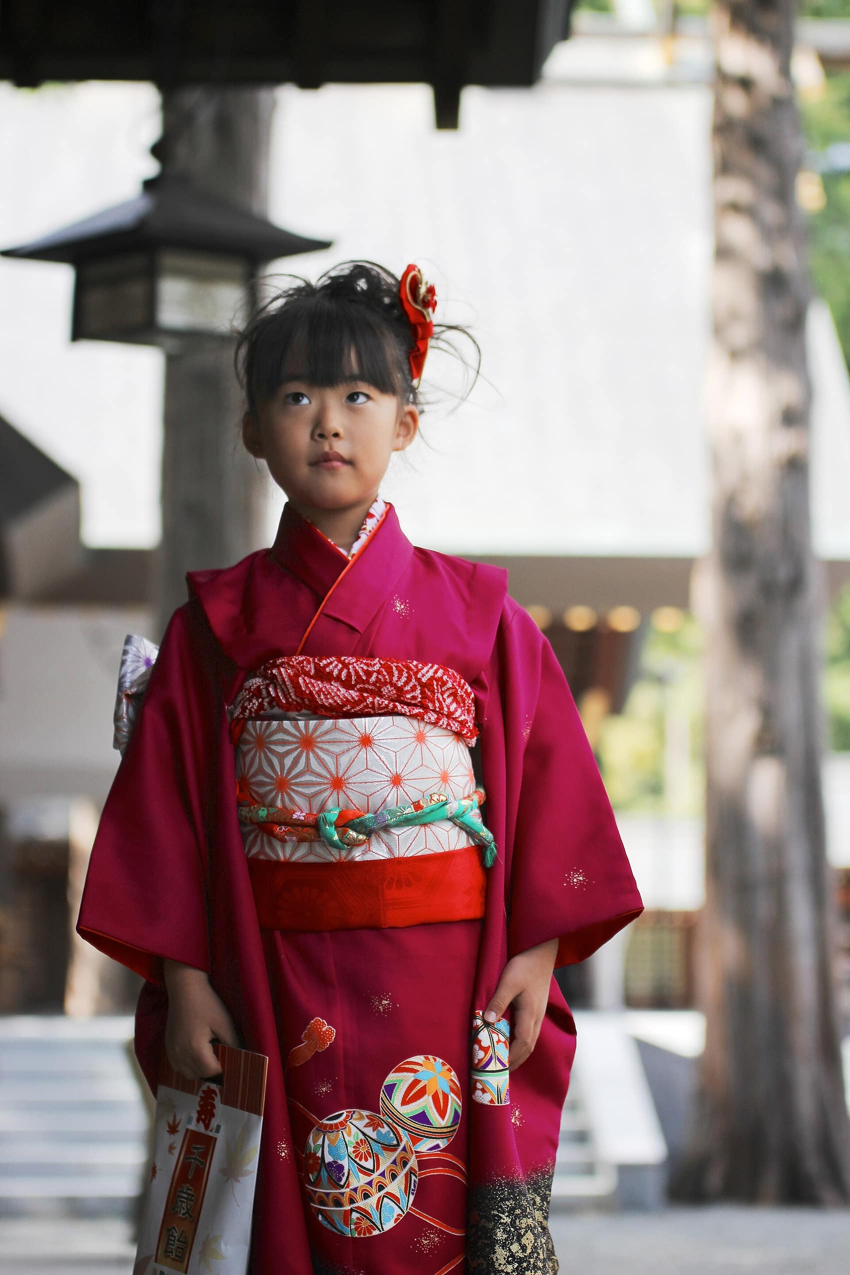 A child in kimono for Shichi-Go-San, the November rite of passage you'll spot at the shrine