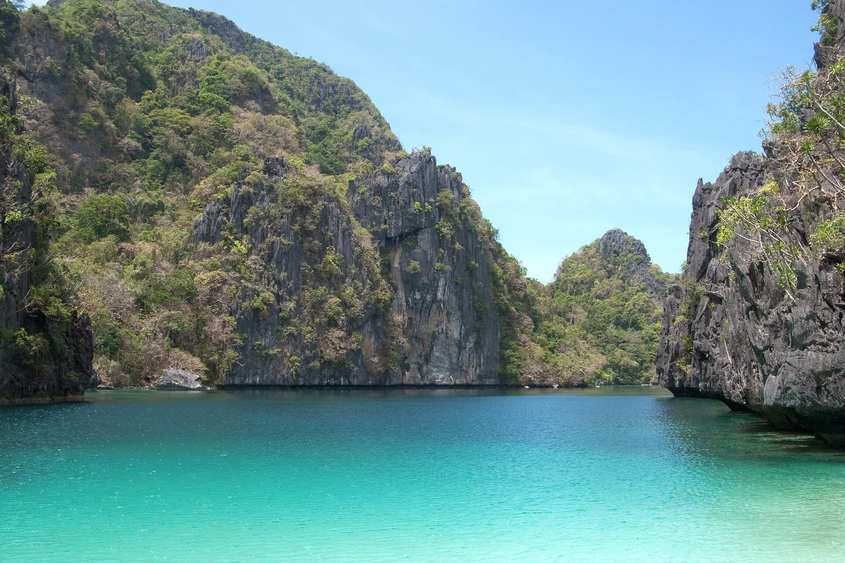 The limestone towers of Bacuit Bay, sheer-sided and forested to the summit