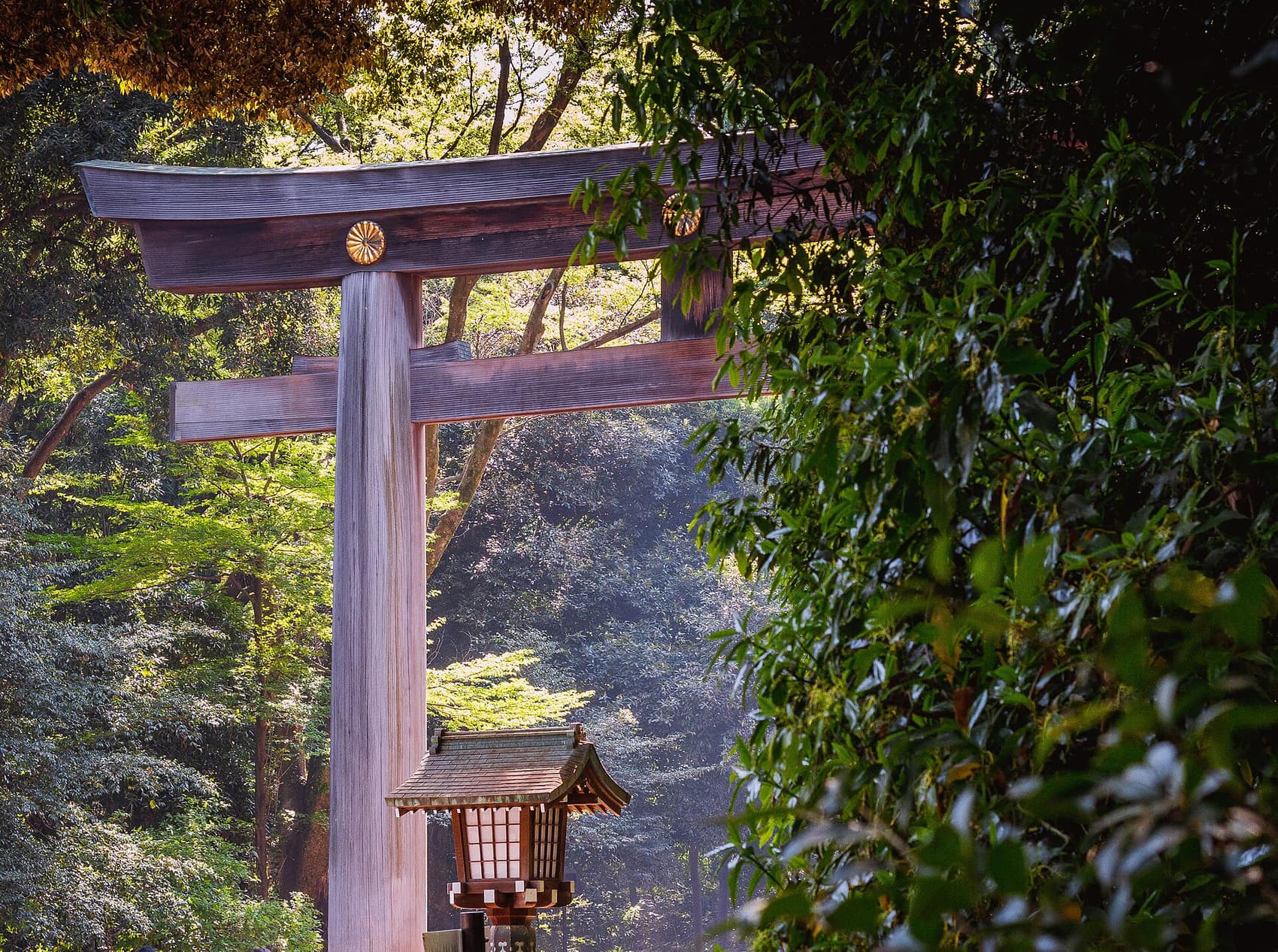 The large torii gate marking Meiji Jingu's forest entrance