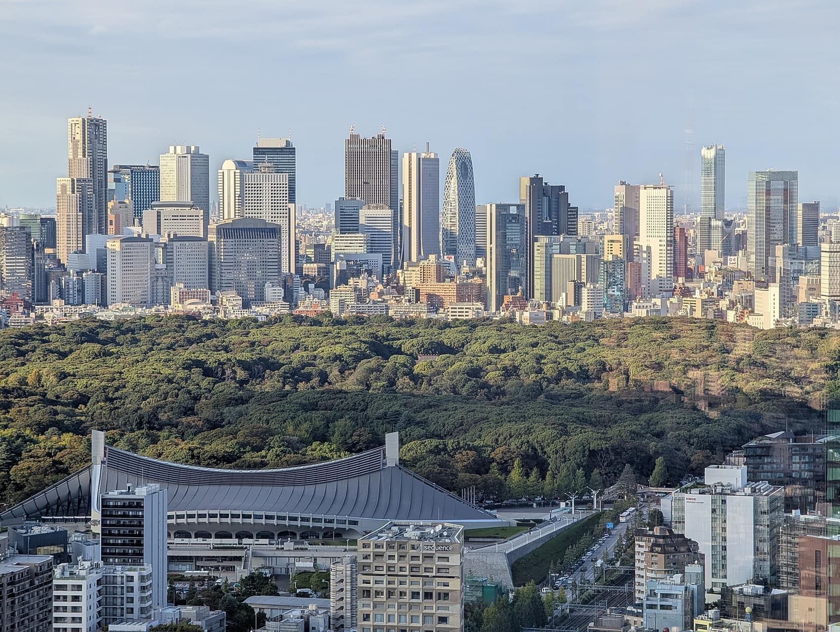 Yoyogi Park's green canopy with Shinjuku's towers behind it