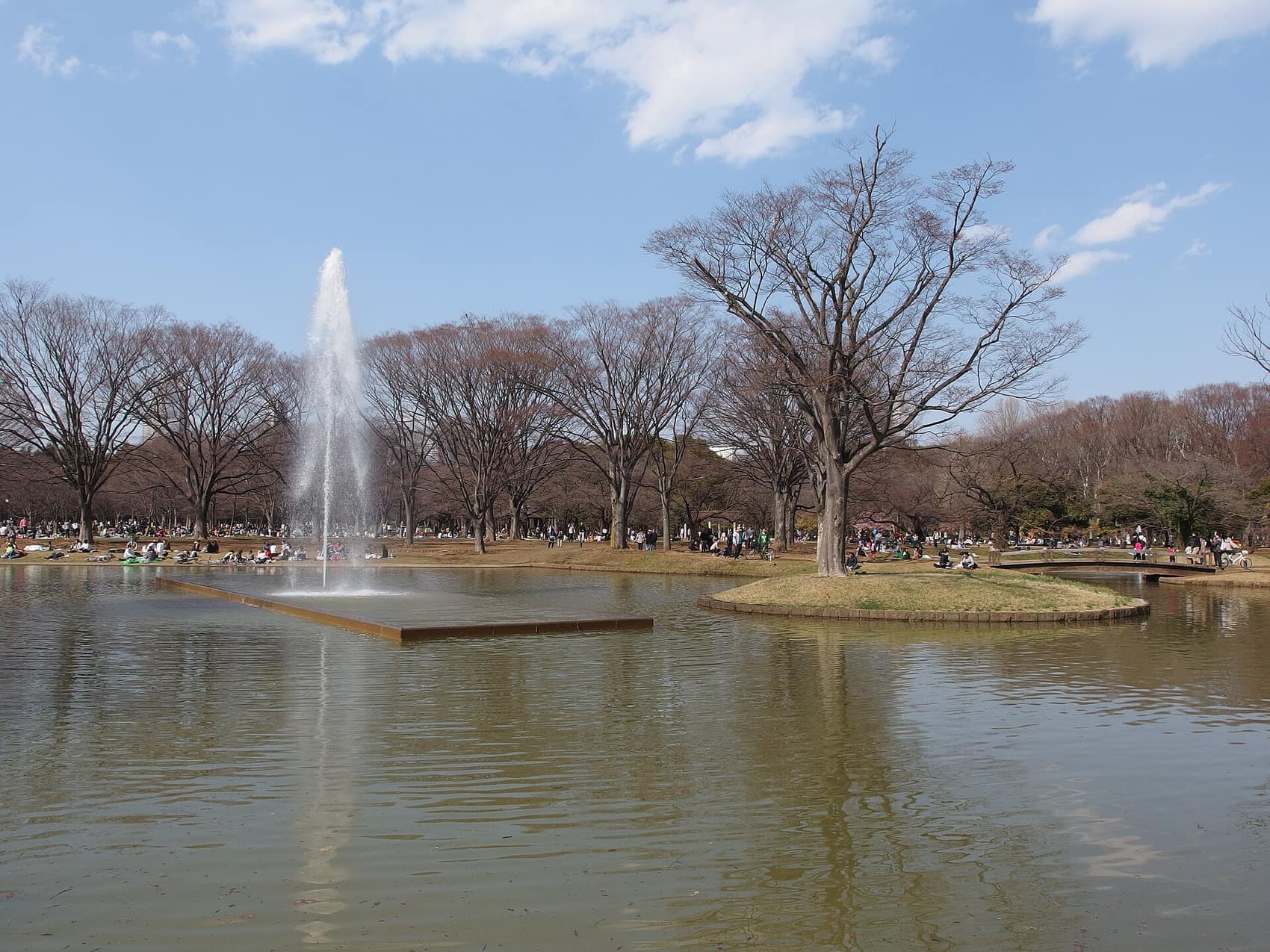 Open lawns at Yoyogi Park